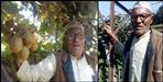 Farmer Mohan Singh Latwal of Almora
