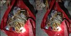 3 Nepali Nationals Arrested While Fleeing with 5 Crore Stolen Jewellery