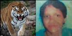 Tiger attack on Anita Devi in Ramnagar