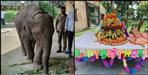 Birthday of infant elephant sawan in Uttarakhand