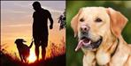 Owner killed pet dog in Haldwani