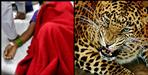 Leopard attacked on women in pithoragarh
