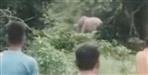 Haridwar Elephant Attack Man Killed in Forest