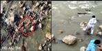 Video of Kedarghat of Uttarkashi goes viral