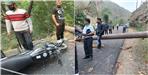 Pine Tree Fell On Purola Mori Road 2 Youth Died On The Spot