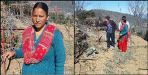 Sita devi became kiwi queen by cultivating this fruits