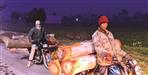 Timber Mafia Transporting Wood Logs on Bikes