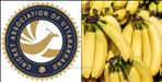 Uttarakhand Cricket Association spent  35 lakh on bananas