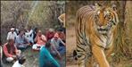 Tiger attack on retired teacher Ranbir Singh Negi in Pauri Garhwal