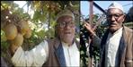 Almora farmer Mohan Singh Latwal Kiwi Farming