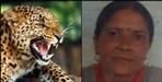 Leopard attacked Sushma Devi of Pauri Garhwal Pabo Block