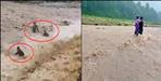 3 people drowned with bike in ramnagar uttarakhand