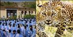 School holiday due to fear of leopard