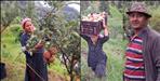 Pauri Garhwal Vijaypal Chand Apple and Kiwi Farming with Wife