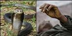 Snake bite man in haldwani