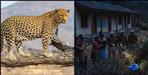 Leopard attacks 4-year-old girl in Chaubattakhal Pauri Garhwal