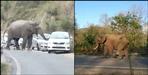 Angry elephant attacked vehicles in Ramnagar