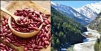 Health Benefits of Uttarakhand Harshil Valley Rajma