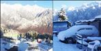 Snowfall in Auli Advance Booking for New Year Christmas