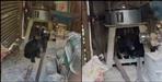 Bear baby trapped in flour mill in Chaundi village of Rudraprayag