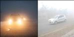 dehradun car collided with tree due to fog