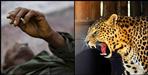 Leopard killed a man  in Chamoli