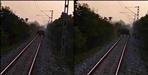 uttarakhand tanda range railway track elephant video