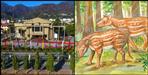 Scientists of Garhwal University find 5000 million years old fossil