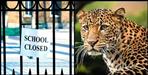 Leopard fear in Pauri Garhwal school closed till June 10