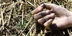 Bina Devi dies in Uttarkashi
