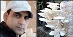 Pithoragarh Mahesh Singh Mushroom Cultivation