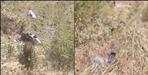 Two people died in Nainital road accident