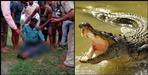 Haridwar crocodile attack on 8-year-old Radhika