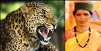Leopard attack on Bhagirathi Devi in Uttarkashi Chinyalisaur