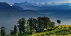Himalayan biodiversity are in deep crisis