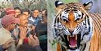 Tiger hunted woman in dhela range of ramnagar