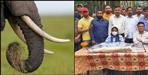 Smuggler arrested with ivory in Rudrapur