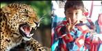Pauri Garhwal Nisni village leopard attack on Piyush