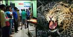 Leopard attack on two women of Kudi village of Tehri Garhwal