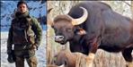 Uttarakhand Soldier Dies in Bison Attack in Pachmarhi