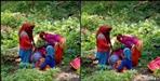 Delivery in the forest in Nizamula Valley