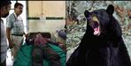 Bear attack teacher beem singh rawat tharali chamoli