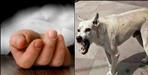 Girl dies due to dog bite in Haridwar