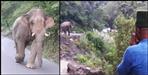 When colonal ajay kothiyal met Elephant