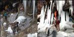 Chamoli Timmersain Snow Shivling