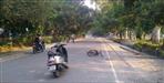 Bee attack on people in Roorkee