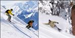 Skiing-snowboarding Winter Games in Auli from today