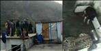 tehri garhwal leopard and dog locked in bathroom