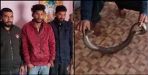 Dehardun police arrested three people with snake