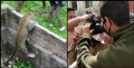 Coronavirus Uttarakhand:Leopard in rishikesh school